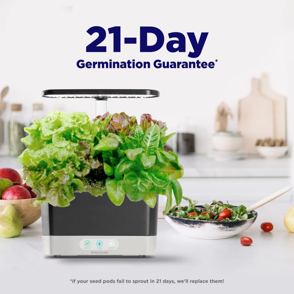 21-Day