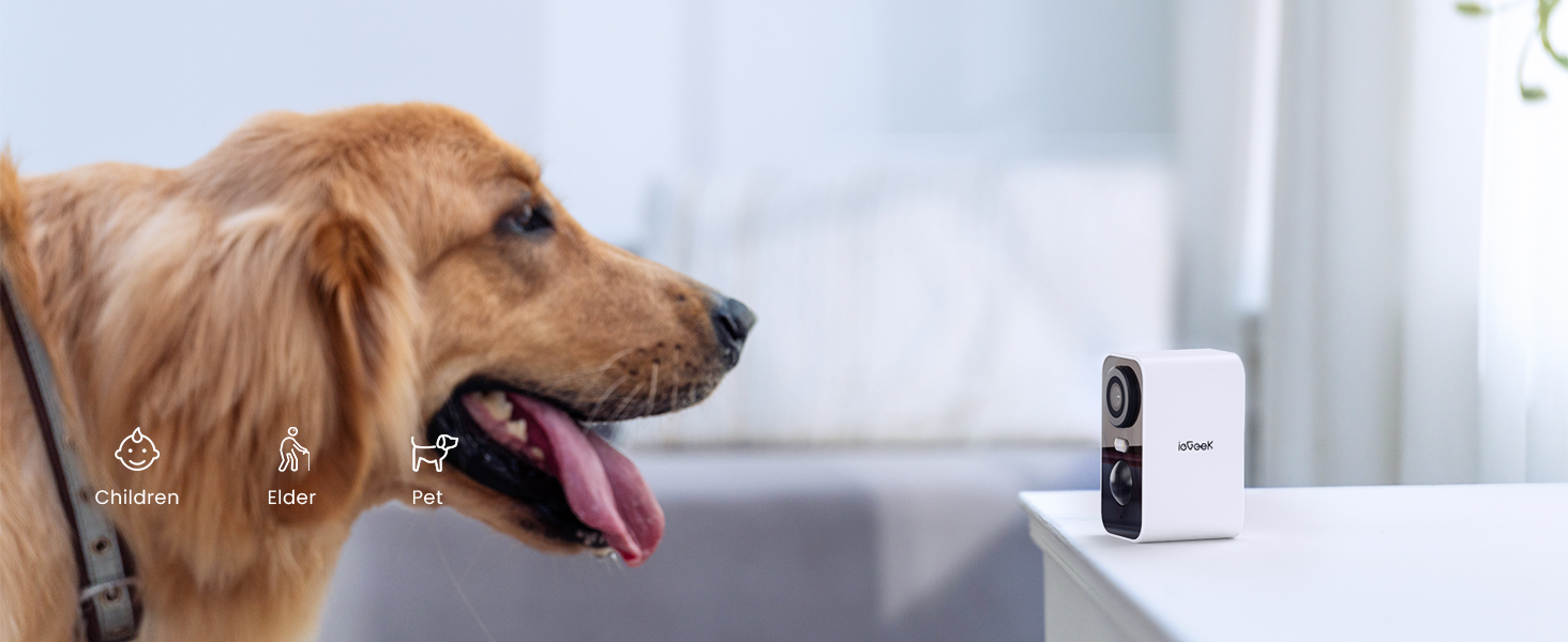 The Guardian of the Nomadic Realm: ieGeek ZS-GX3S Security Camera