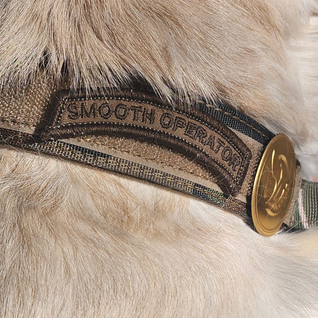 Zamboni | Smooth Operator Patch